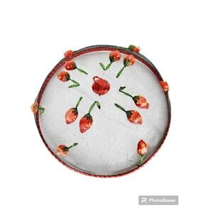 Vintage 60s Domed Embroidered Mesh Raffia Strawberries Round Food Cover